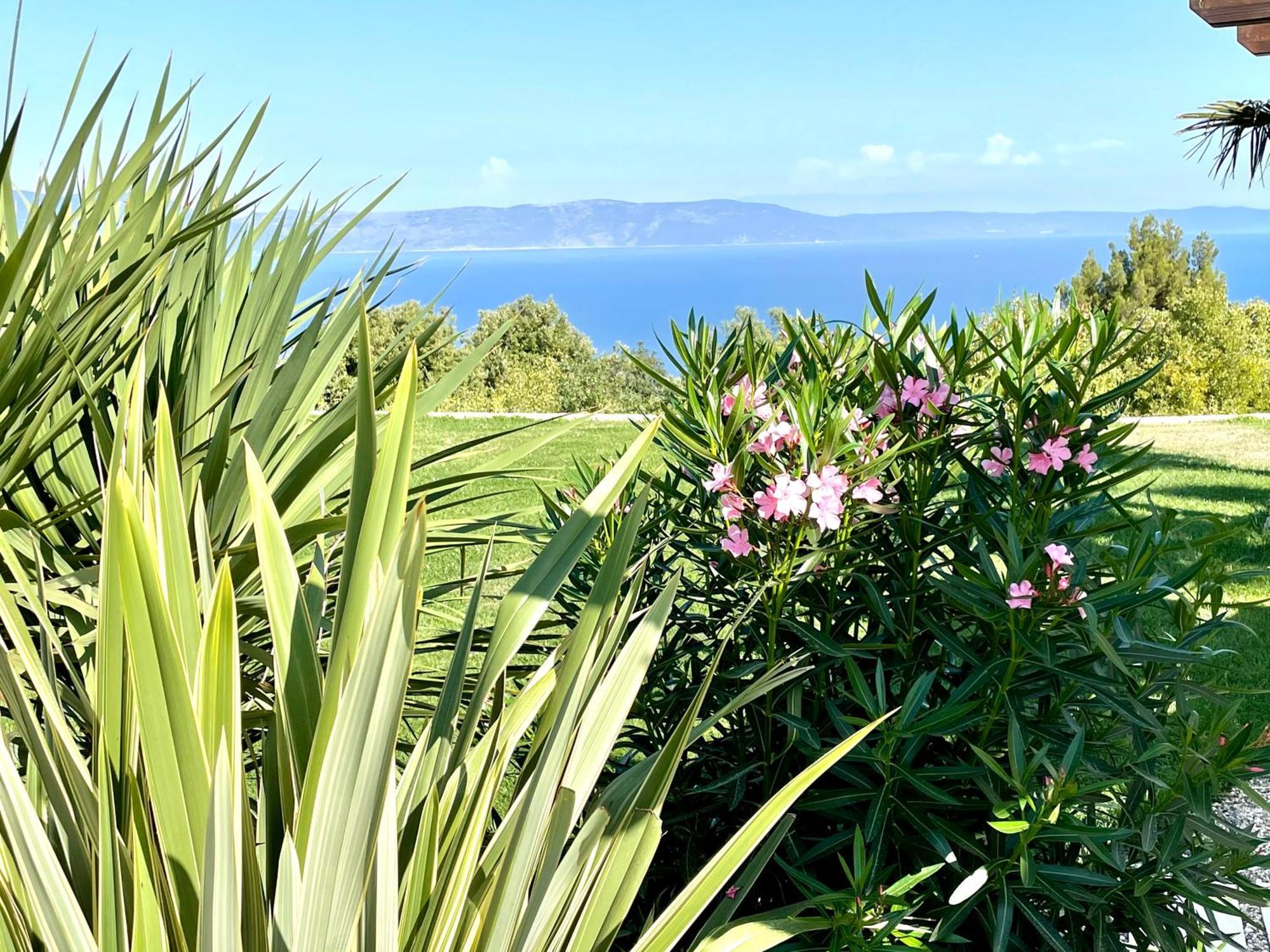 Luxury Panorama Vila With Amazing Seaview In Gondolici 7 Km From Rabac Labin  Dış mekan fotoğraf